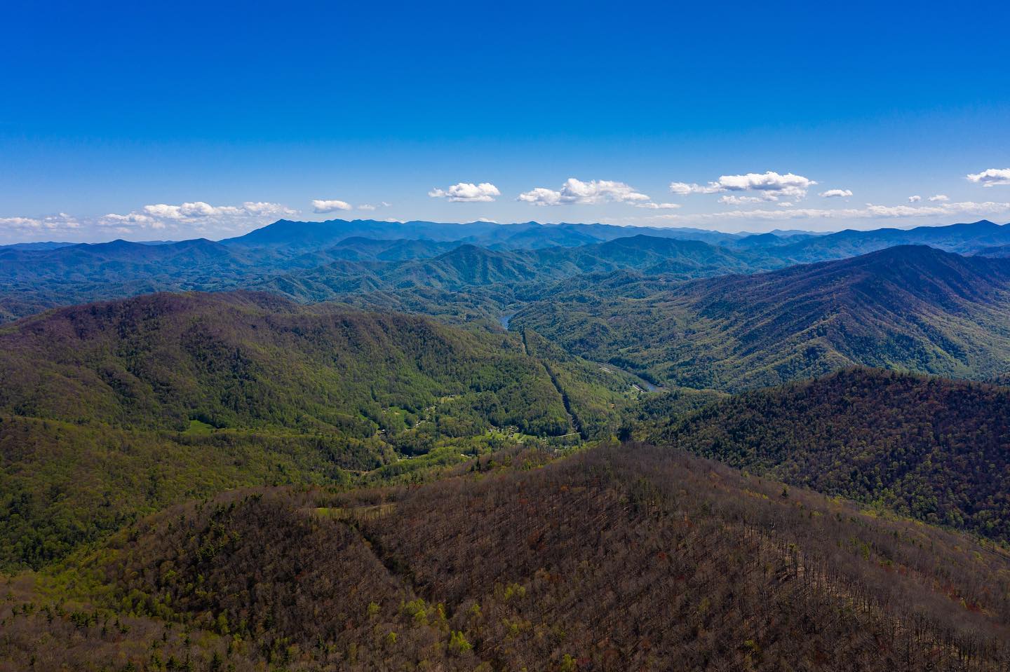 Experience the Beautiful Colors of Northeast Tennessee — featured image for this Tri-Cities blog article