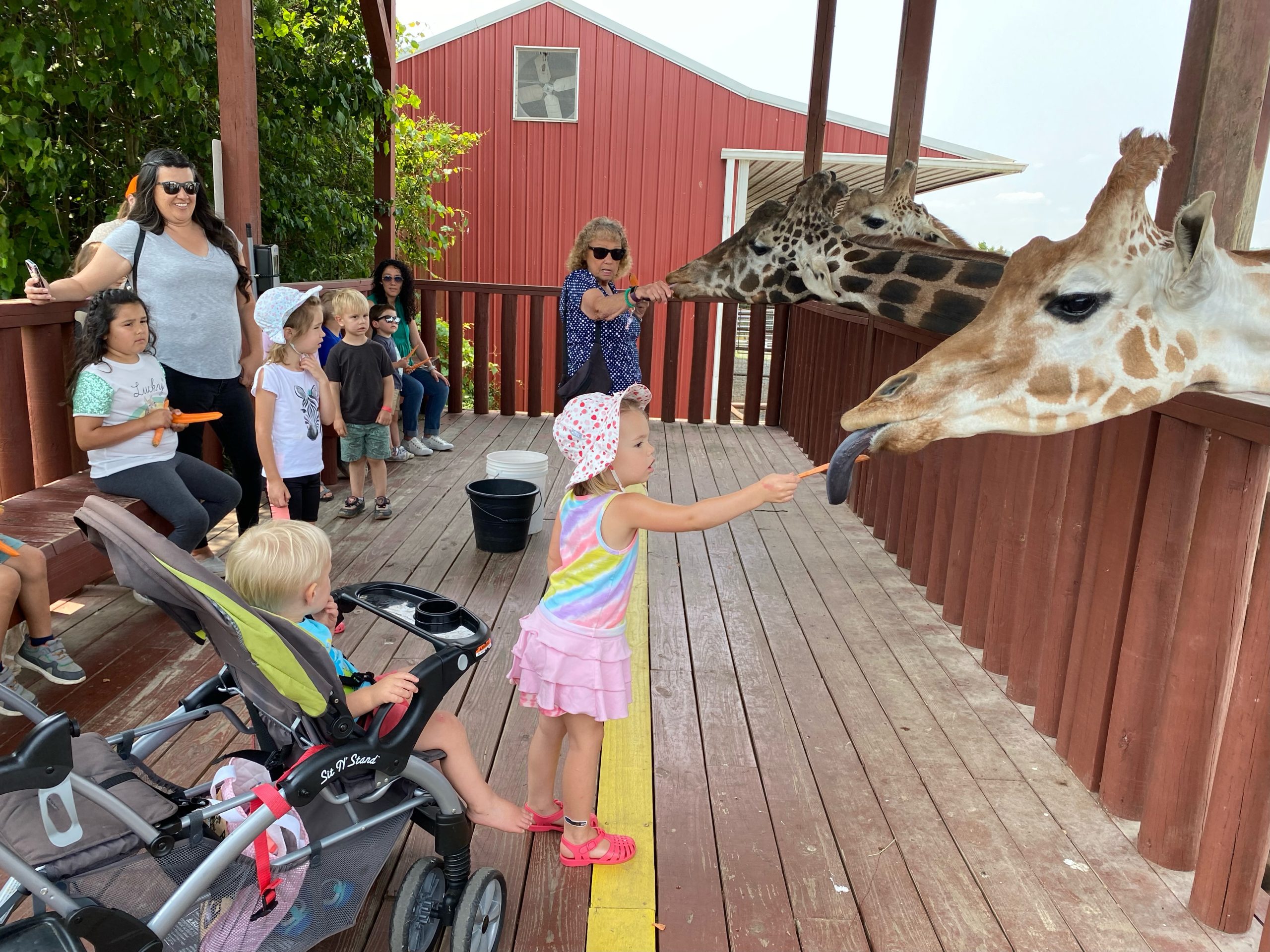 Family-Friendly Fun: Activities and Attractions for Kids in Johnson City, TN — featured image for this Tri-Cities blog article