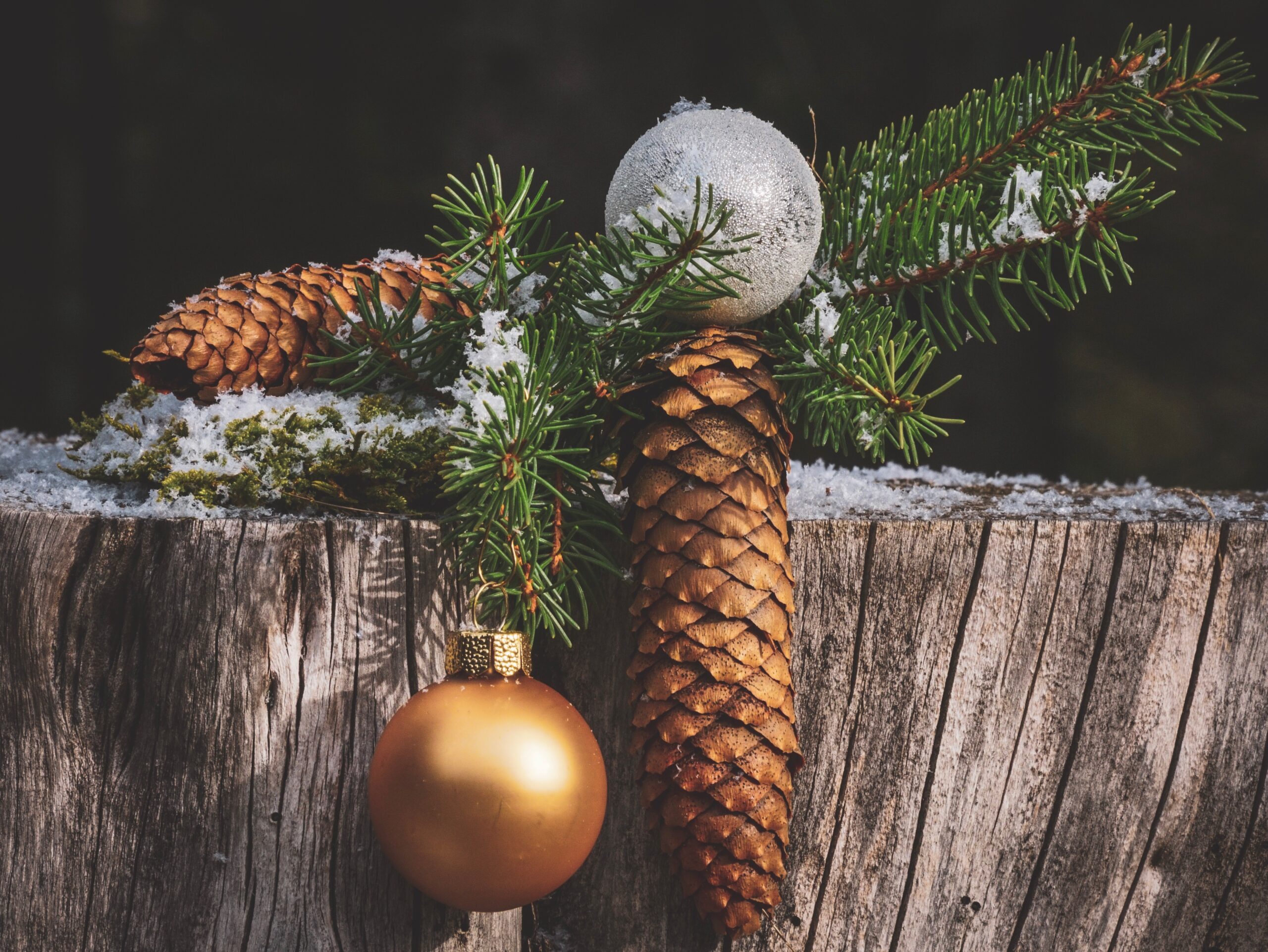 Was There Really a Christmas Truce in 1914? — featured image for this Tri-Cities blog article